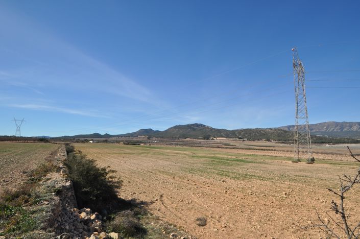 Image No.4-Terre à vendre à Salinas