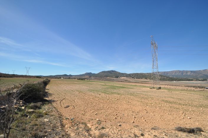 Image No.7-Terre à vendre à Salinas