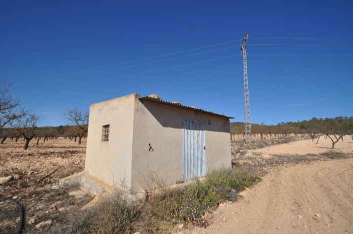 Image No.1-Terre à vendre à Monóvar