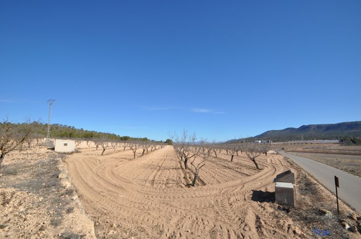 Image No.2-Terre à vendre à Monóvar