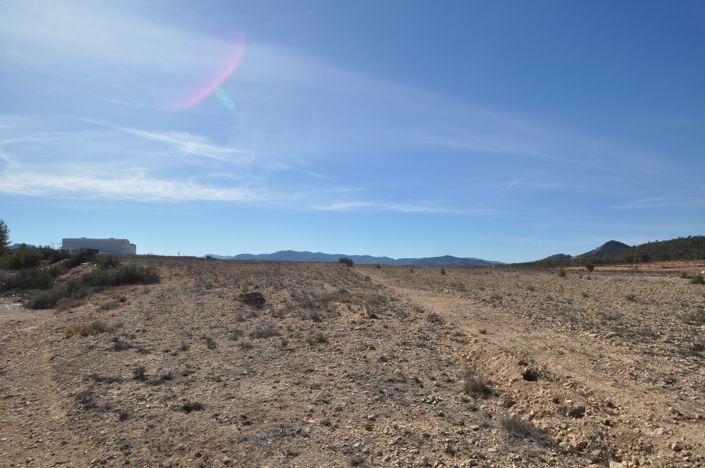 Image No.2-Terre à vendre à Monóvar