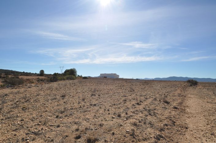 Image No.3-Terre à vendre à Monóvar