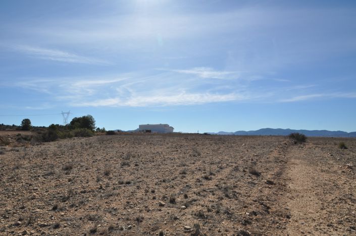Image No.4-Terre à vendre à Monóvar