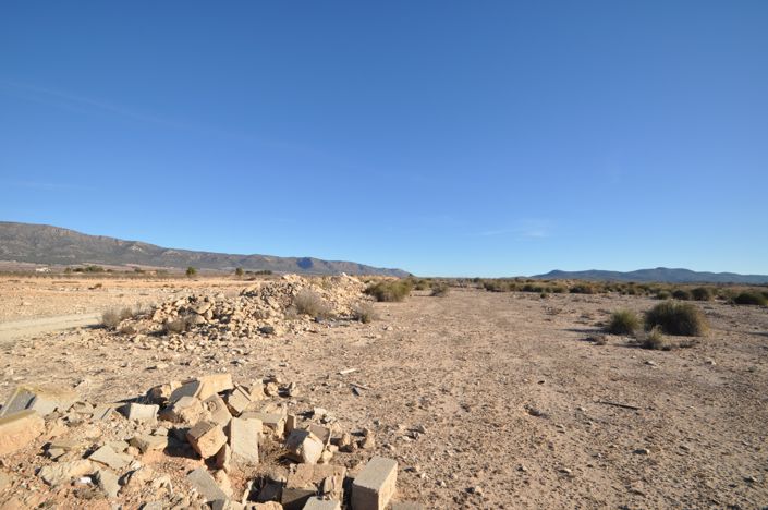 Image No.11-Terre à vendre à Pinoso