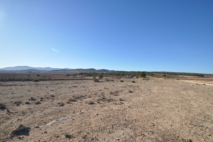 Image No.12-Terre à vendre à Pinoso