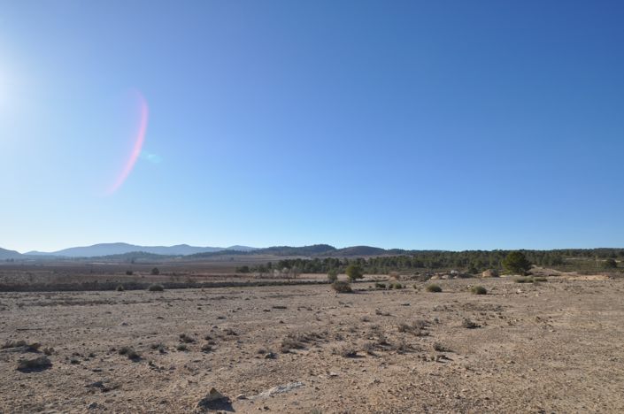 Image No.13-Terre à vendre à Pinoso