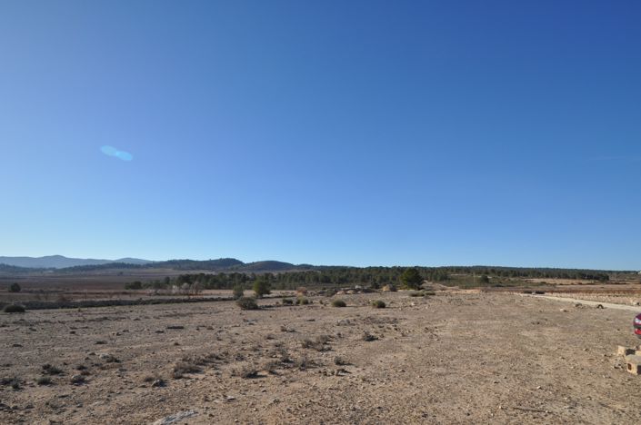 Image No.14-Terre à vendre à Pinoso