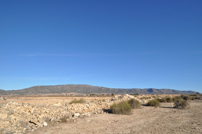 Image No.15-Terre à vendre à Pinoso