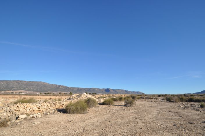 Image No.16-Terre à vendre à Pinoso