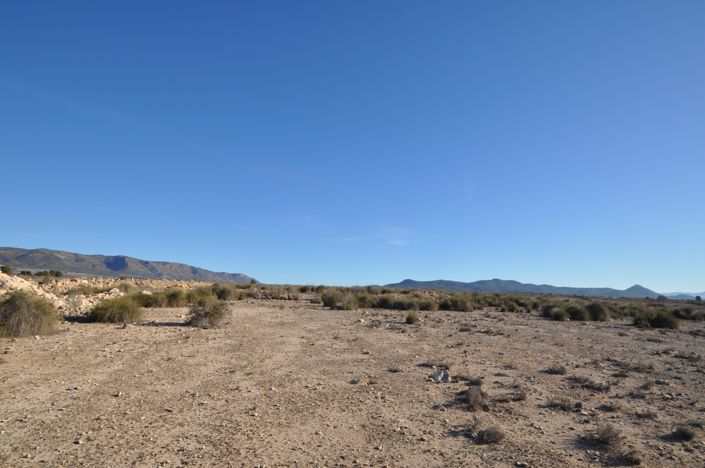 Image No.17-Terre à vendre à Pinoso