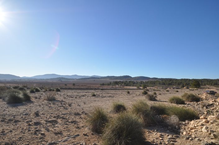 Image No.19-Terre à vendre à Pinoso