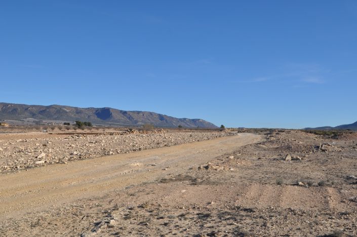 Image No.2-Terre à vendre à Pinoso