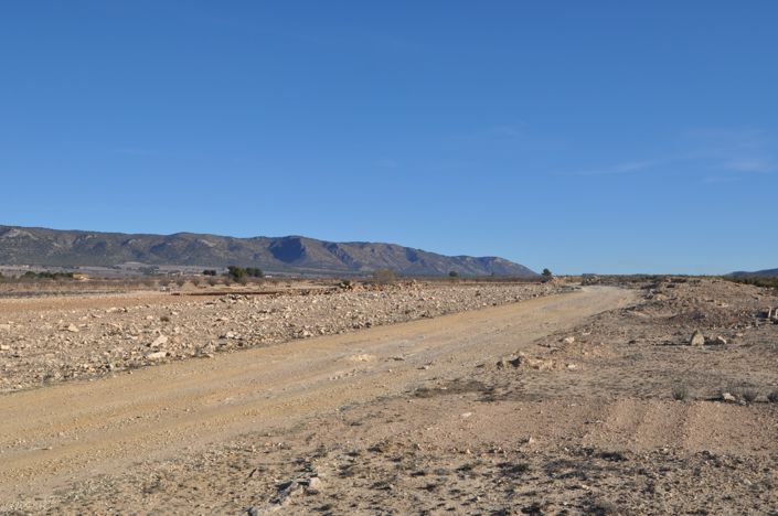 Image No.3-Terre à vendre à Pinoso