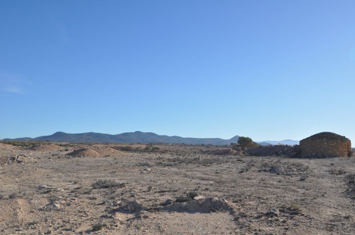 Image No.4-Terre à vendre à Pinoso