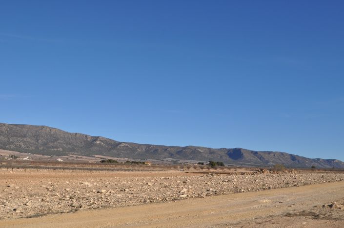 Image No.7-Terre à vendre à Pinoso