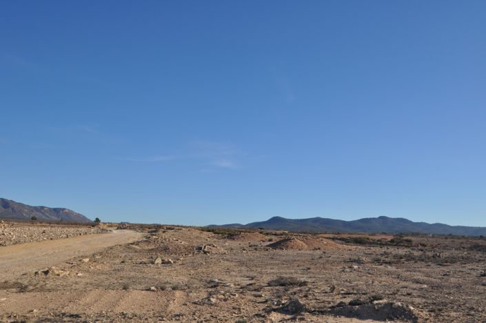 Image No.8-Terre à vendre à Pinoso