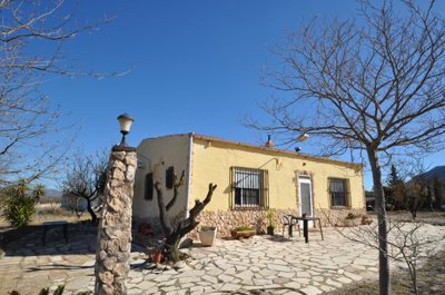 Stratus International most sold property