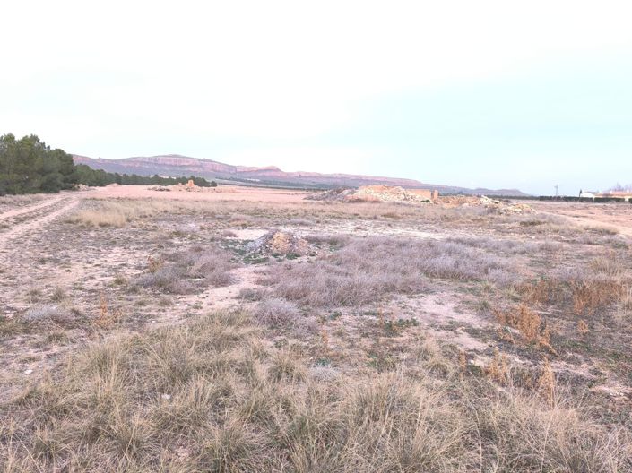 Image No.10-Terre à vendre à Yecla