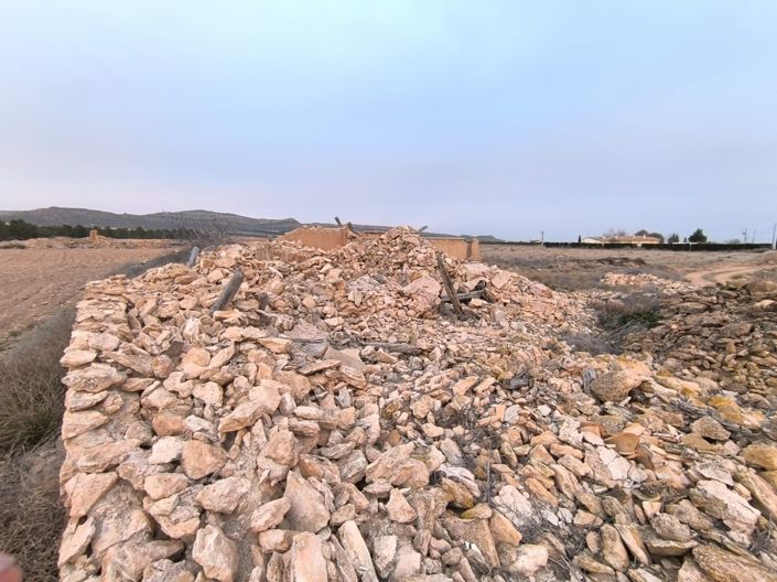 Image No.4-Terre à vendre à Yecla