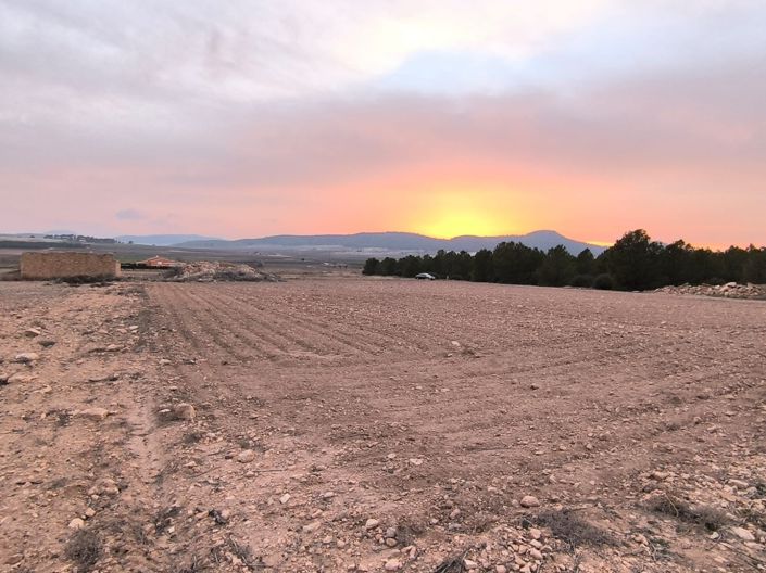 Image No.5-Terre à vendre à Yecla