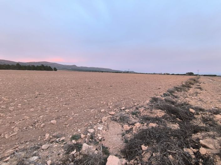 Image No.7-Terre à vendre à Yecla