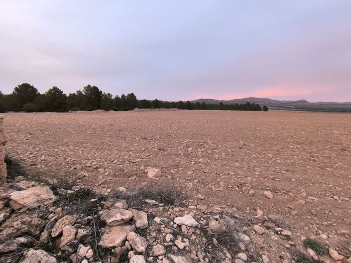 Image No.8-Terre à vendre à Yecla