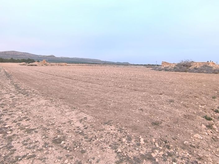 Image No.9-Terre à vendre à Yecla