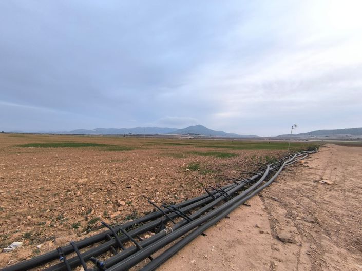 Image No.3-Terre à vendre à Yecla