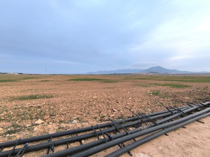 Image No.4-Terre à vendre à Yecla