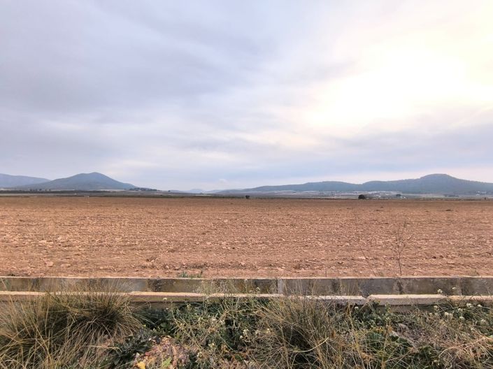 Image No.3-Land for sale