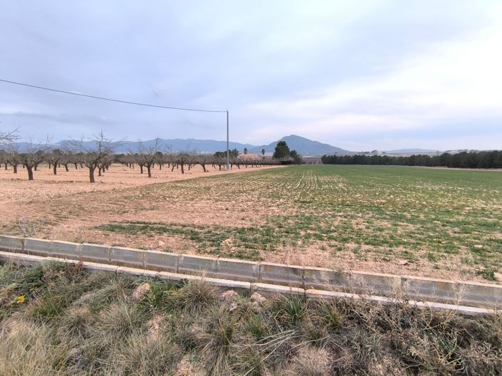 Image No.2-Terre à vendre à Yecla