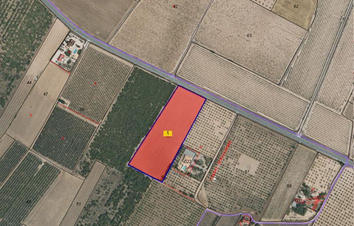 Image No.4-Terre à vendre à Yecla