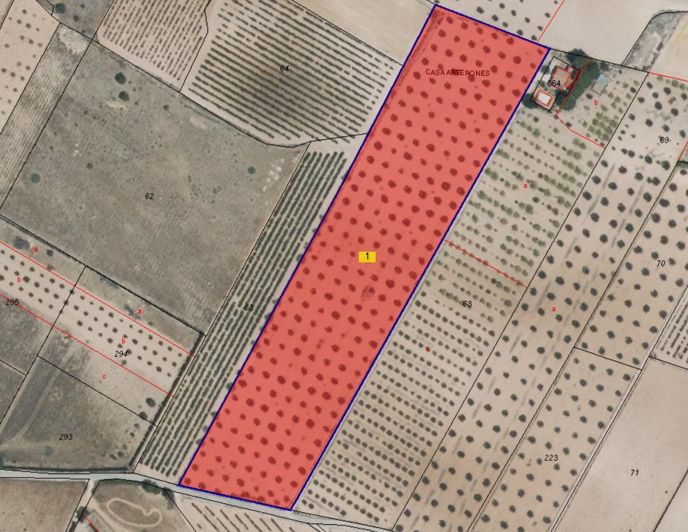 Image No.7-Terre à vendre à Yecla