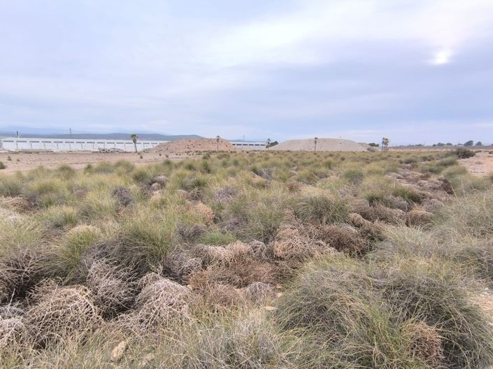 Image No.2-Land for sale