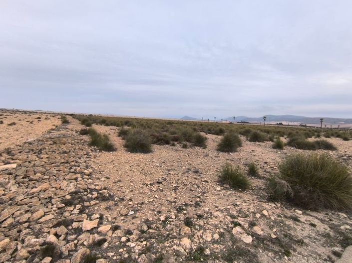 Image No.5-Land for sale