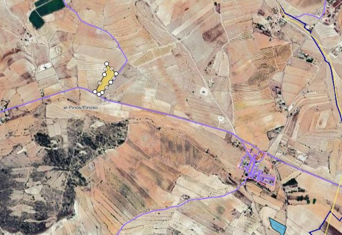 Image No.2-Terre à vendre à Pinoso