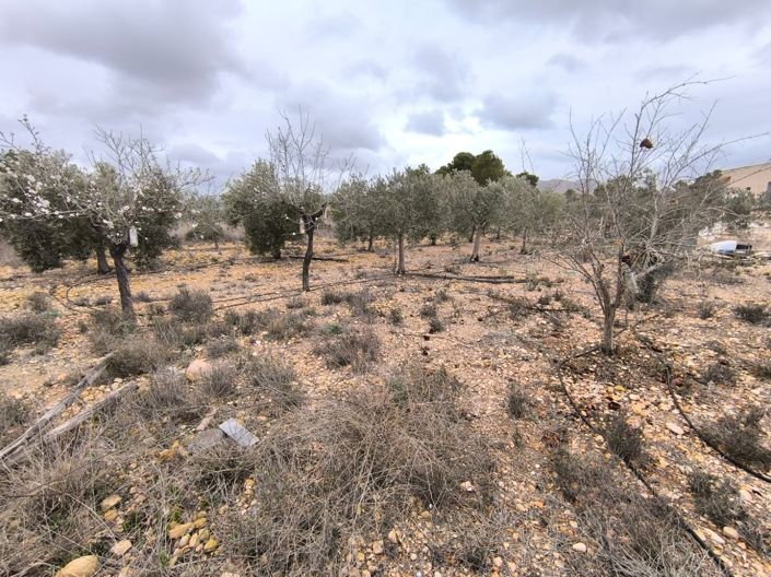 Image No.13-2 Bed Country House for sale