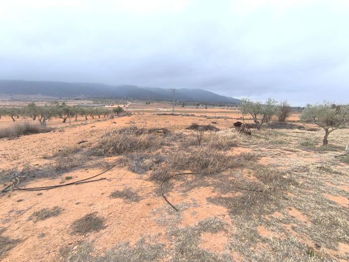 Image No.19-2 Bed Country House for sale