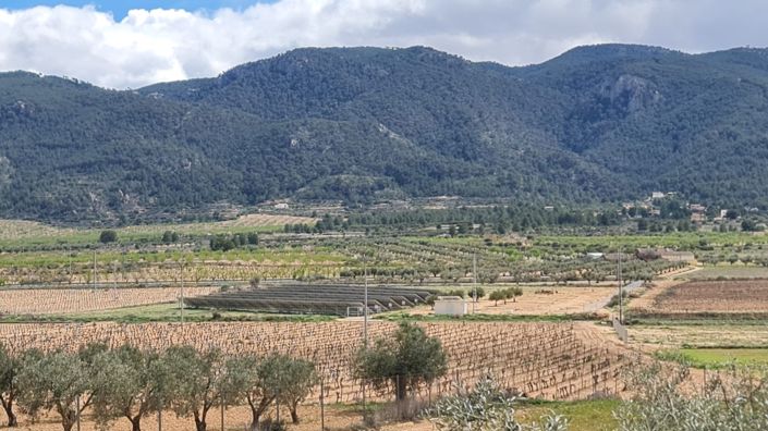 Image No.9-2 Bed Country House for sale