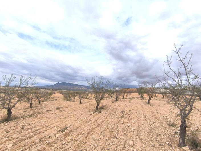 Image No.1-Land for sale