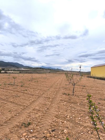 Image No.1-Land for sale
