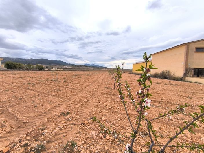 Image No.3-Land for sale