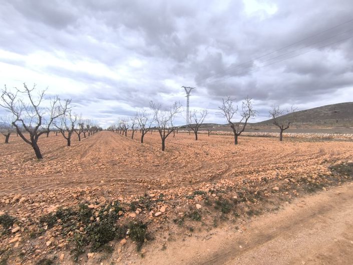 Image No.1-Land for sale