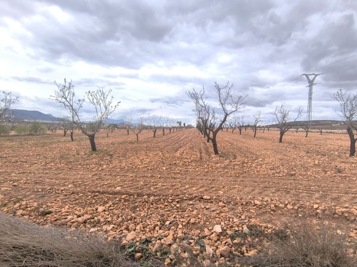 Image No.2-Land for sale