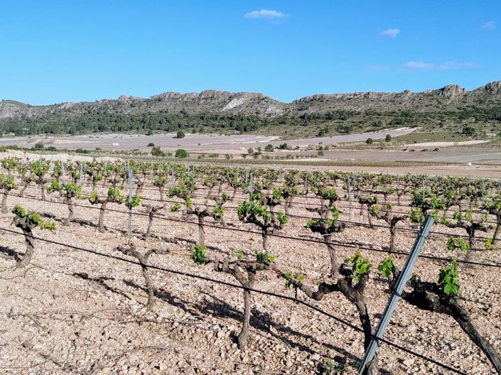 Image No.5-3 Bed Country House for sale