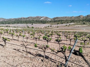 d69d68b447d1fb69d68b447d215