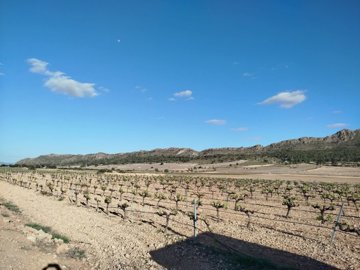 d69d68b447ad5369d68b447ad99