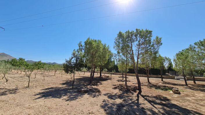 Image No.33-5 Bed Villa for sale