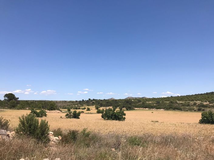 Image No.18-8 Bed Country House for sale