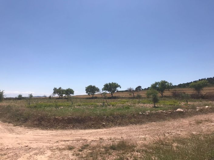 Image No.22-8 Bed Country House for sale